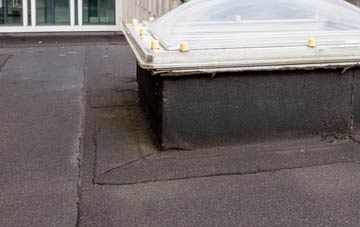 disadvantages of Dumpinghill flat roofs
