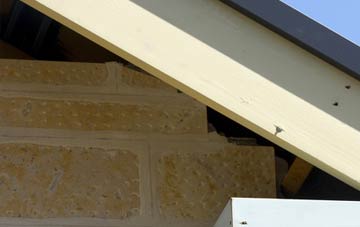 soffit repair Dumpinghill