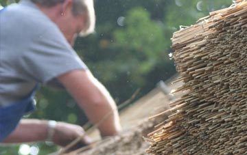 professional Dumpinghill thatchers